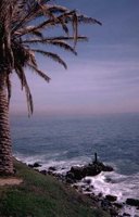 72_166.JPG