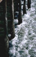 29_166.JPG