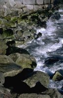 20_166.JPG