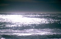105_121.JPG