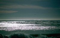 102_121.JPG
