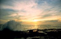 069_164.JPG