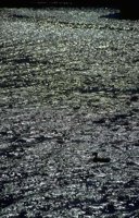 067_118.JPG