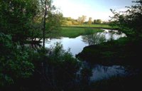 10_166.JPG