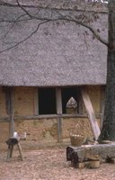 006_135.JPG