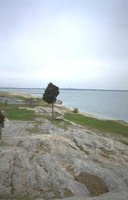 46_240.JPG