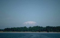 006_164.JPG