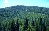 86_193.JPG