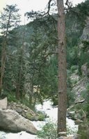 79_193.JPG
