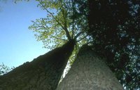 76_193.JPG