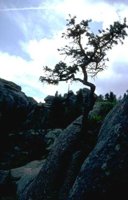 72_150.JPG