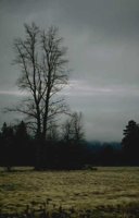 57_190.JPG