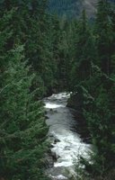 53_190.JPG