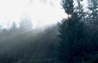 52_190.JPG