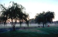 49_150.JPG
