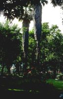 48_150.JPG