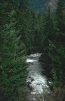 47_190.JPG