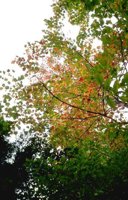 26_150.JPG