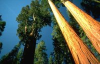 079_184.JPG