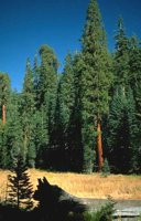 060_179.JPG