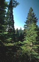 045_179.JPG