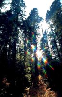 035_179.JPG