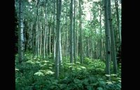 007_146.JPG