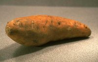 57_176.JPG