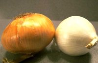 56_176.JPG