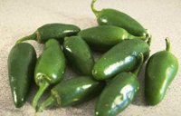 07_176.JPG