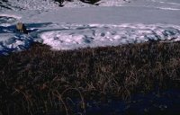 91_150.JPG