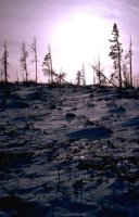 67_215.JPG