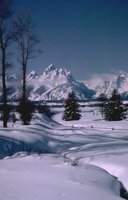 65_215.JPG