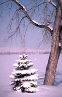 56_215.JPG