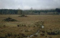 56_190.JPG