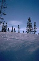 55_215.JPG