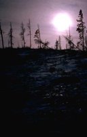54_215.JPG