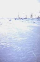 50_215.JPG