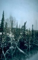 24_215.JPG