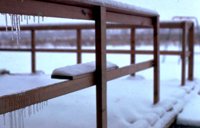 19_215.JPG