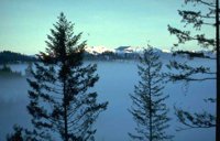13_214.JPG