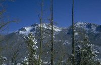 085_164.JPG