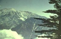 065_204.JPG