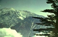 065_164.JPG