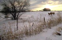 052_181.JPG