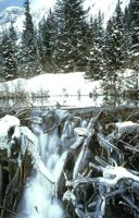 050_147.JPG