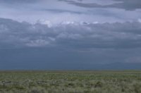 P028B078.JPG