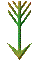 000d001p.gif