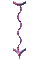 000o0021.gif