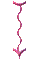 000o001d.gif